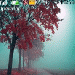 chu de nokia, the me nokia s40 dep, theme mien phi